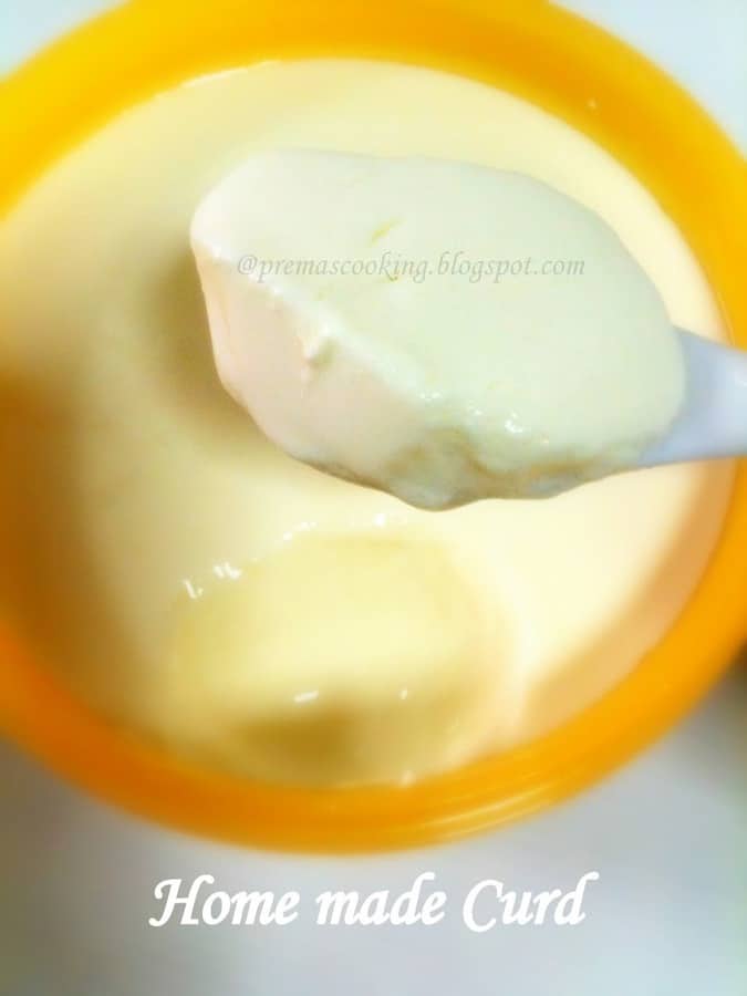 Home Made Curd