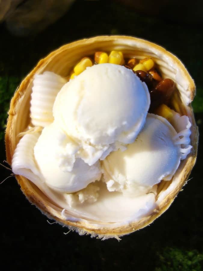 coconut ice cream sankaya
