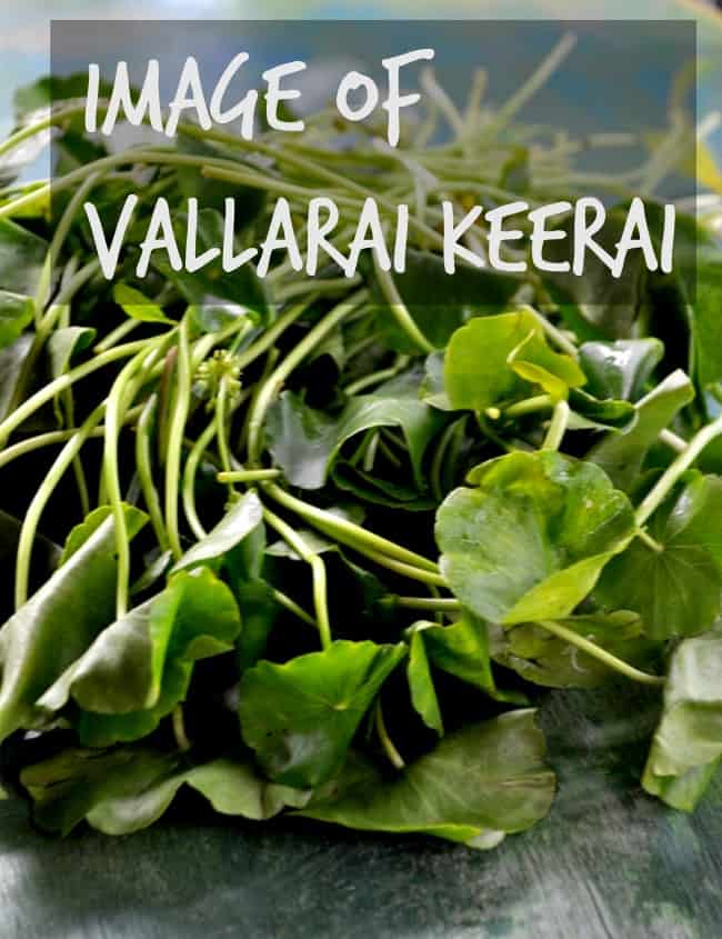 Image of Vallarai Keerai