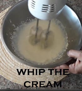 Vanilla Ice Cream Recipe whip the cream