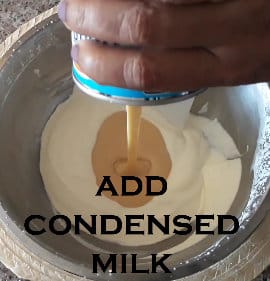 Vanilla Ice Cream Recipe with Condensed milk