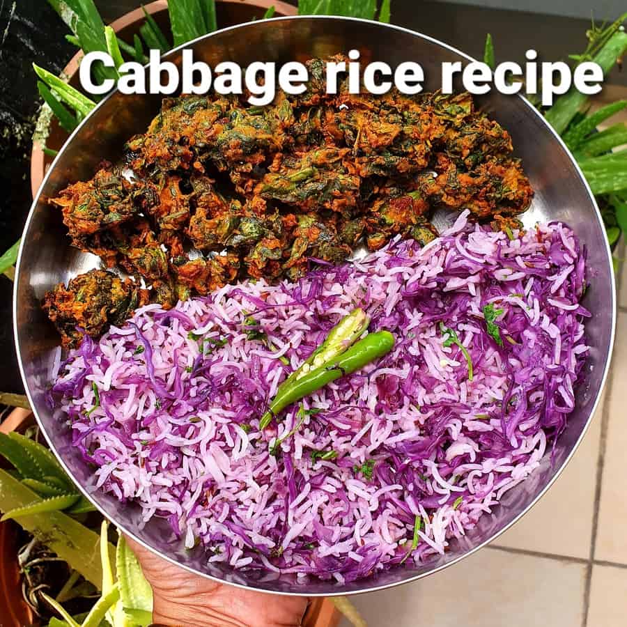 cabbage rice recipe, Red Cabbage Fried rice, Cabbage Sadam Prema's