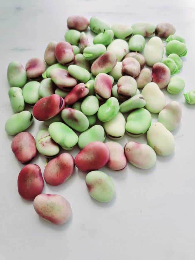 How to clean and cook broad beans