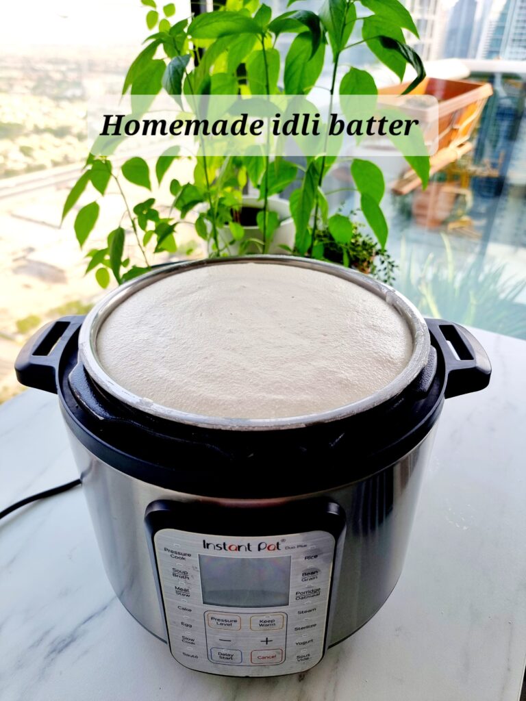 How to ferment idli batter in Instant Pot Duo Plus Prema s Culinary