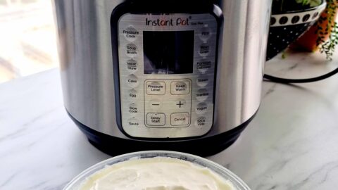 How-to-make-Thick-Curd-in-Instant-Pot
