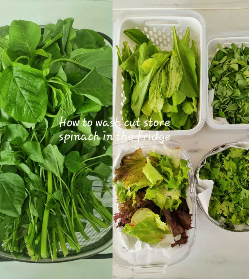 How-to-clean-and-store-Spinach-in-the-fridge